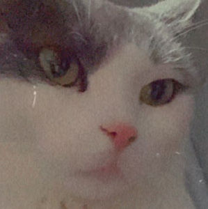 Meet your Posher, Qween